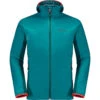 Jack Wolfskin Heren Alpspitze Ins Hoodie Jas